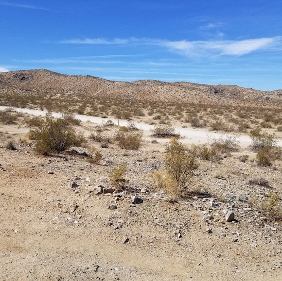 Meet your Posher, Dee - Picture 1 of 1